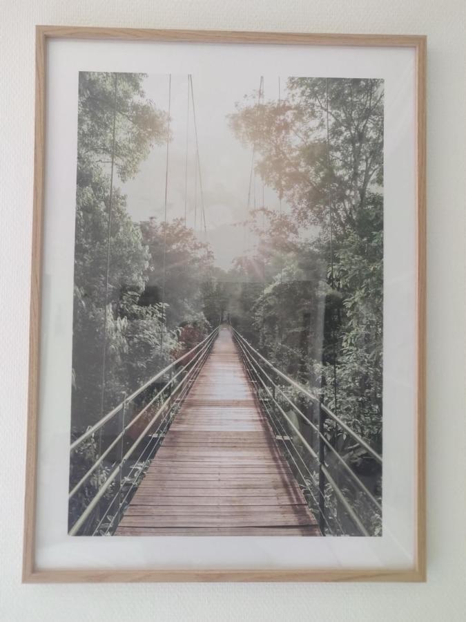 Le Paquier - Mycosyapart, Vieille Ville, Calme, Lac 100M, Netflix Annecy Bagian luar foto